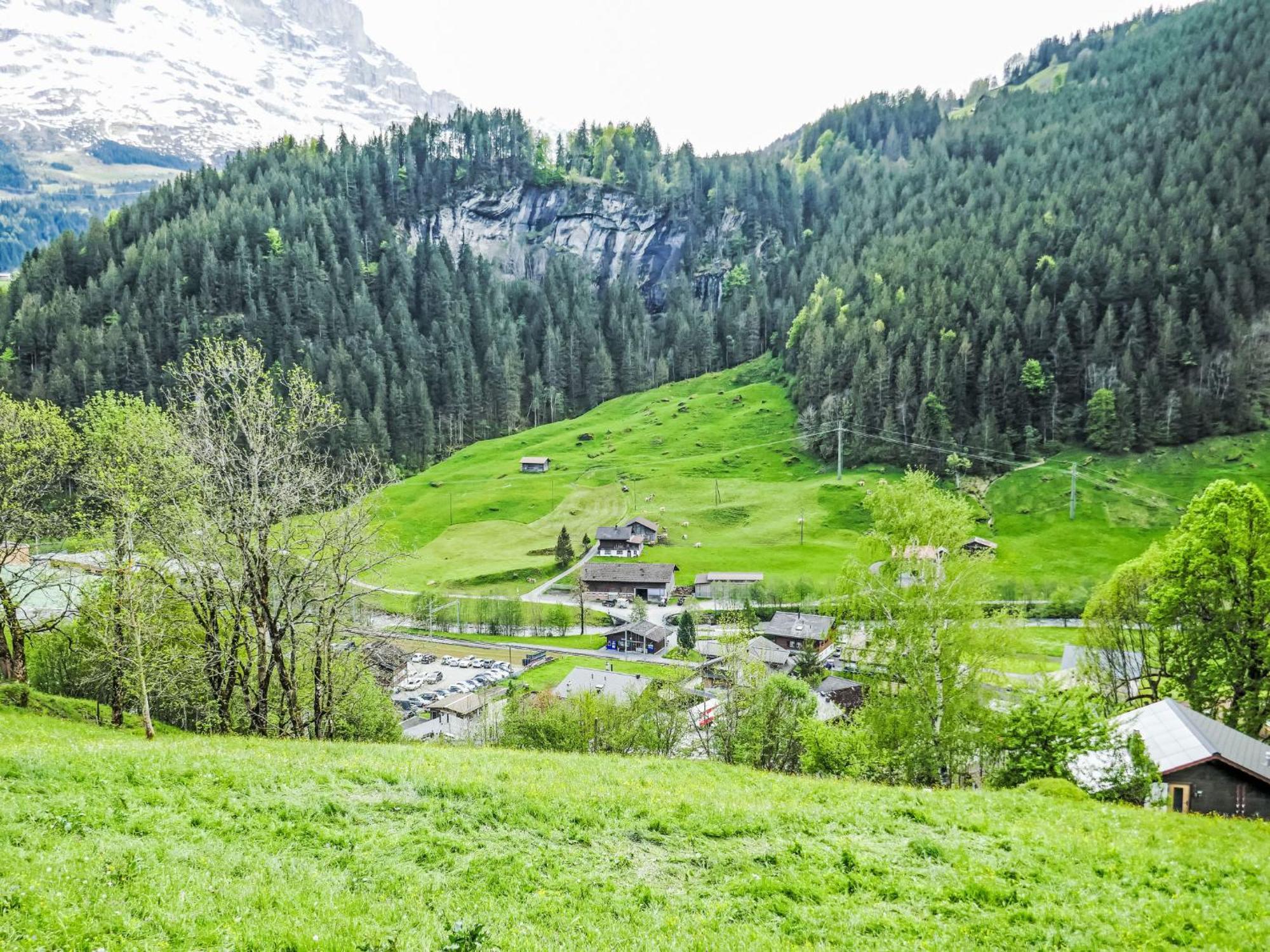 Apartment Chalet Auf Dem Vogelstein-1 By Interhome Grindelwald Eksteriør billede